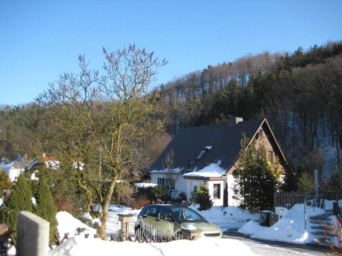 Haus Am Waldrand Apartment Freital Bagian luar foto