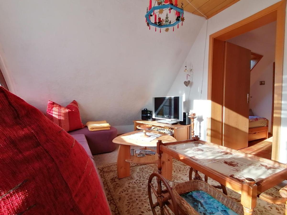 Haus Am Waldrand Apartment Freital Bagian luar foto