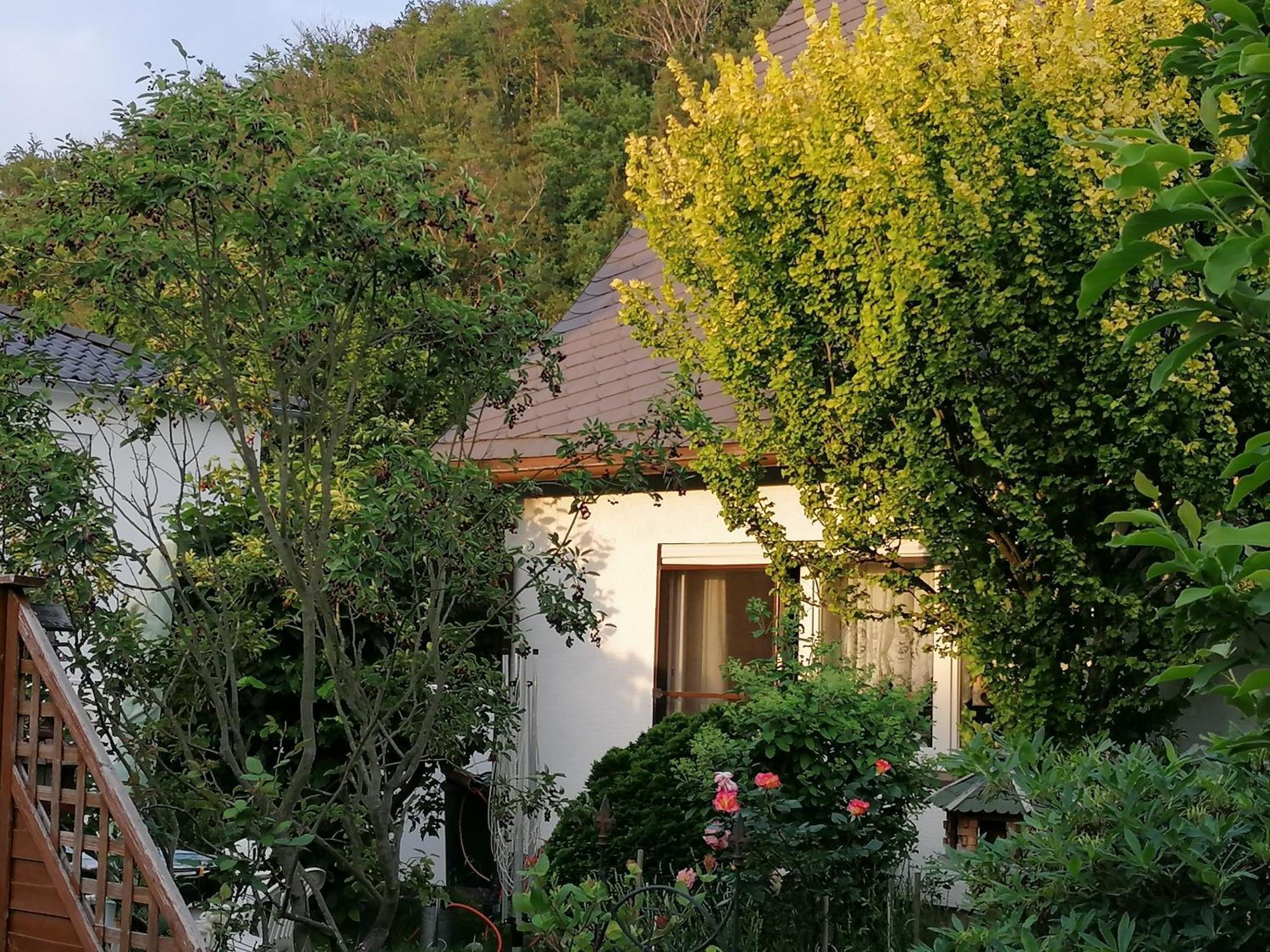 Haus Am Waldrand Apartment Freital Bagian luar foto