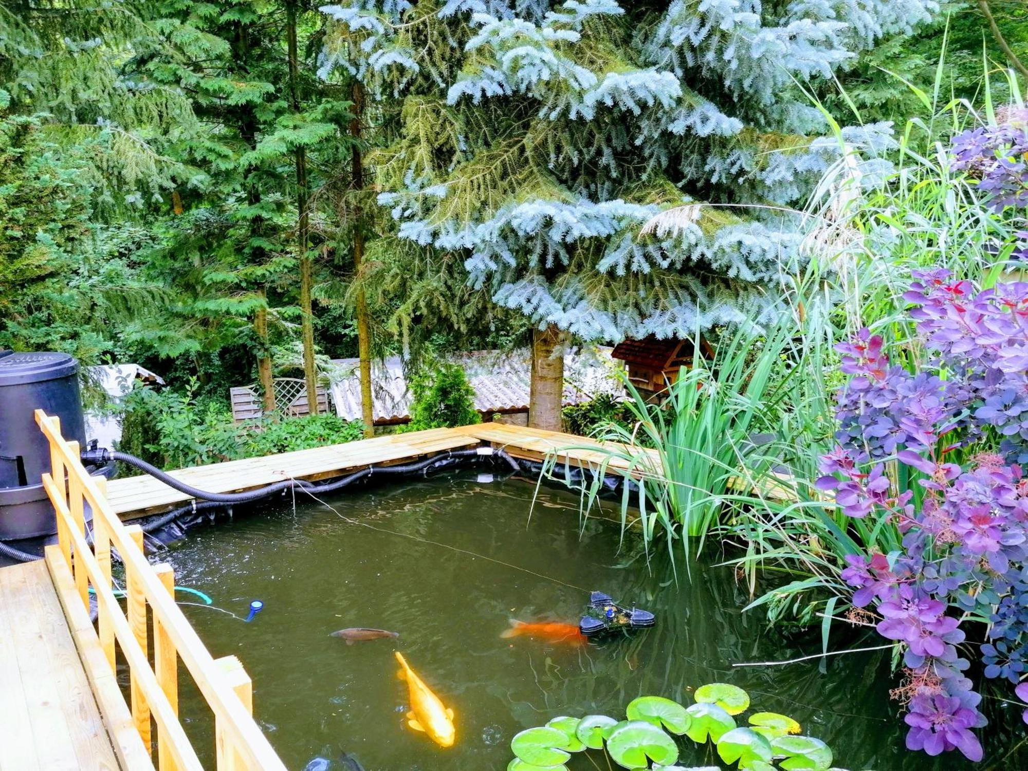 Haus Am Waldrand Apartment Freital Bagian luar foto